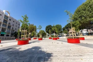 עצים צעירים במכלים אדומים בכיכר המייסדים פתח תקווה כחלק מפרויקט הצללה עירוני.