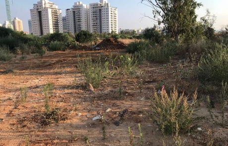 רחוב חדש בשם ויטנברג יסלל בפתח תקווה