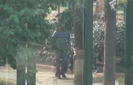 מטריד: ילדות הותקפו במרכז פתח תקווה – התוקפים טרם נתפסו